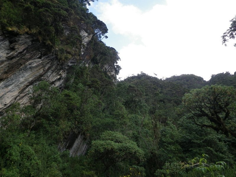 217 215 IMGP1828.jpg